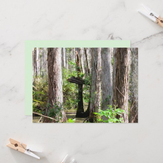 Natural Cross in the Swamp Flat Card カード (正面/裏面インサイチュ)