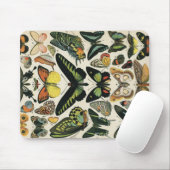 Natural History Butterfly マウスパッド (マウス)