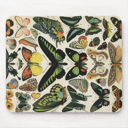Natural History Butterfly マウスパッド (正面)