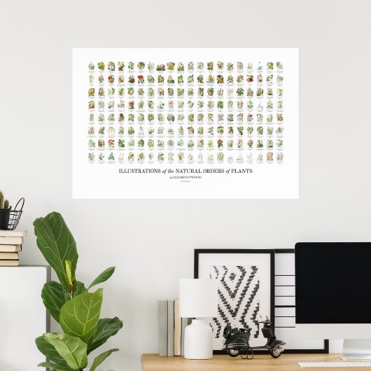 Natural Orders of Plants - All Illustrations ポスター (ホームオフィス)