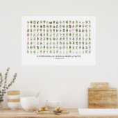 Natural Orders of Plants - All Illustrations ポスター (キッチン)