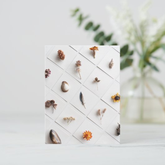 Natural Specimen Collection Minimalist ポストカード (スタンド正面)