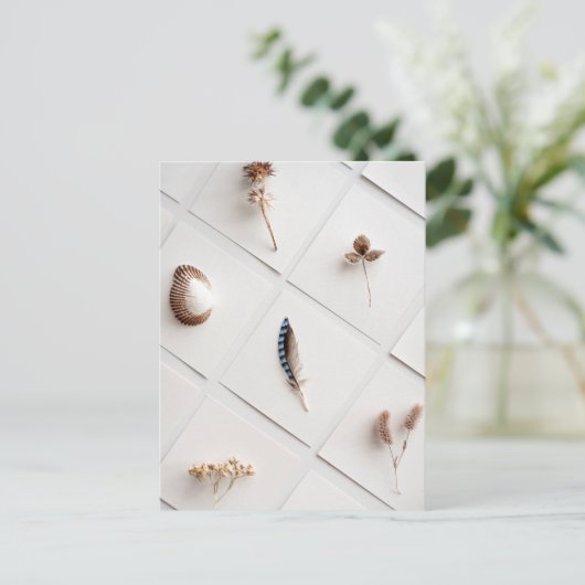 Natural Specimen Collection Minimalist ポストカード (スタンド正面)