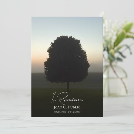 Natural Tree At Sunrise Funeral Memorial Service プログラム (スタンド正面)