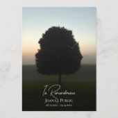 Natural Tree At Sunrise Funeral Memorial Service プログラム (正面)