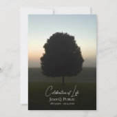 Natural Tree Sunrise Celebration of Life Funeral 招待状 (正面)