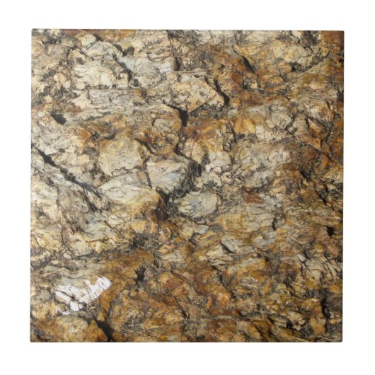 Naturally カッコいい Surfaces_Marbleの外観 タイル (正面)