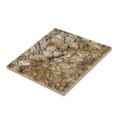 Naturally カッコいい Surfaces_Marbleの外観 タイル (側面)