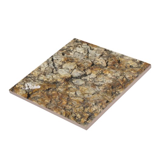 Naturally カッコいい Surfaces_Marbleの外観 タイル (側面)