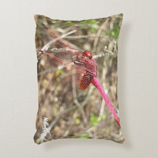 NaturCrazeピンクのトンボのアクセント枕 アクセントクッション (正面(垂直))