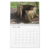 Nature and animals on the Peißnitz Island カレンダー (1月 2026)