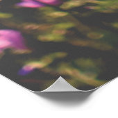 Nature and Flowers Photography Poster ポスター (角)