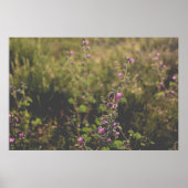 Nature and Flowers Photography Poster ポスター (正面)