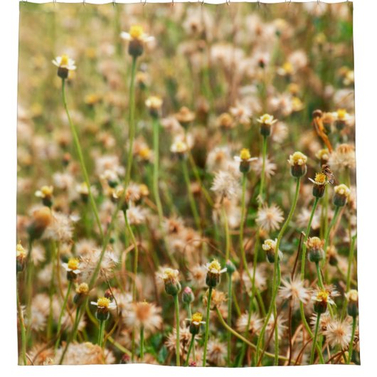 Nature background with grass flowerbackground, bea シャワーカーテン (正面)