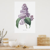 Nature,botanical print,flower art of  Lilac ポスター (キッチン)