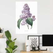 Nature,botanical print,flower art of  Lilac ポスター (ホームオフィス)