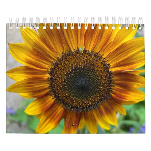 Nature Calendar カレンダー (カバー)
