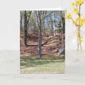 Nature Card カード (黄色い花)