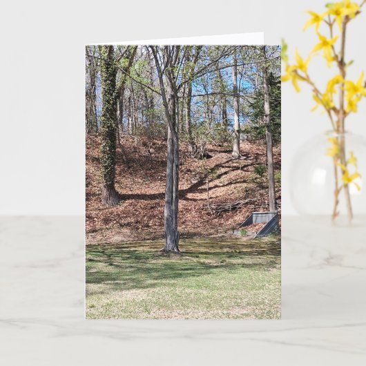 Nature Card カード (黄色い花)