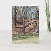 Nature Card カード (正面)