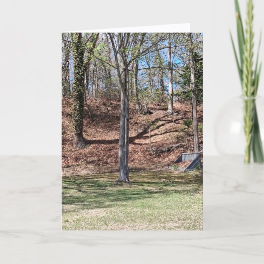 Nature Card カード (正面)