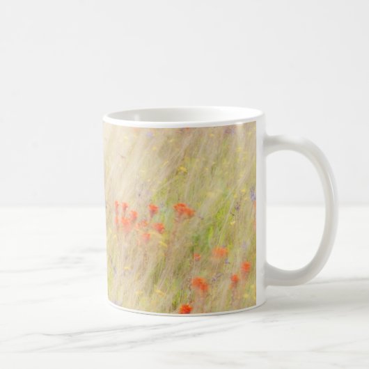 Nature Conservancy | サンフアン諸島, ワシントン州 コーヒーマグカップ (右)