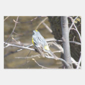 Nature Critters Wrapping Paper Sheets ラッピングペーパーシート (正面3)