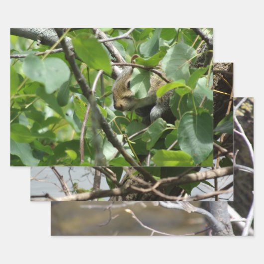 Nature Critters Wrapping Paper Sheets ラッピングペーパーシート (セット)