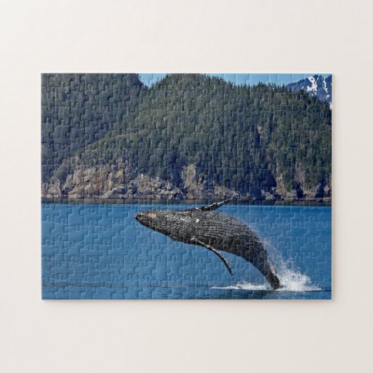 Nature Humpback Whale Wildlife Photo ジグソーパズル (横)