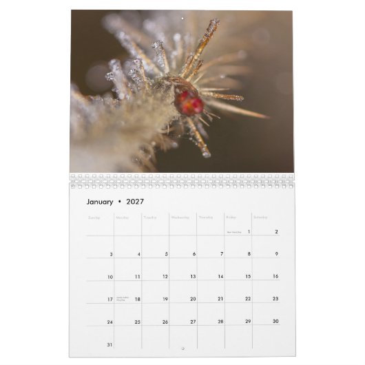 Nature inspired 2026 calendar カレンダー (1月 2027)