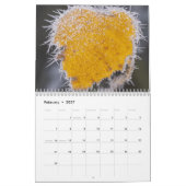 Nature inspired 2026 calendar カレンダー (2月 2027)