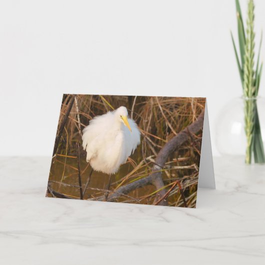Nature inspired All occasion card Snowy Egret サンキューカード (正面)