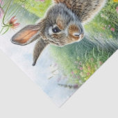 Nature Inspired Easter Eggs and Rabbit  薄葉紙 (詳細)