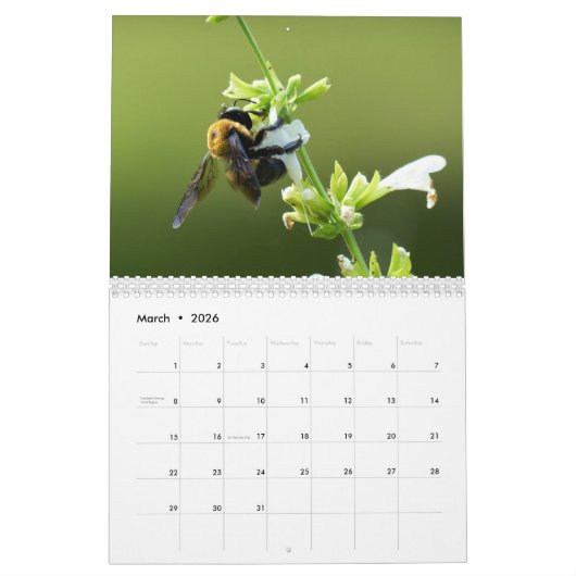 Nature Journey Calendar カレンダー (3月 2026)