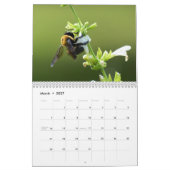 Nature Journey Calendar カレンダー (3月 2027)