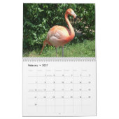 Nature Journey Calendar カレンダー (2月 2027)