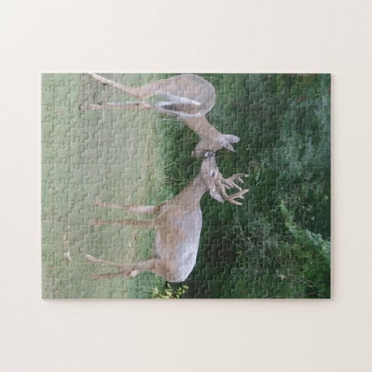 Nature Lover ジグソーパズル (横)