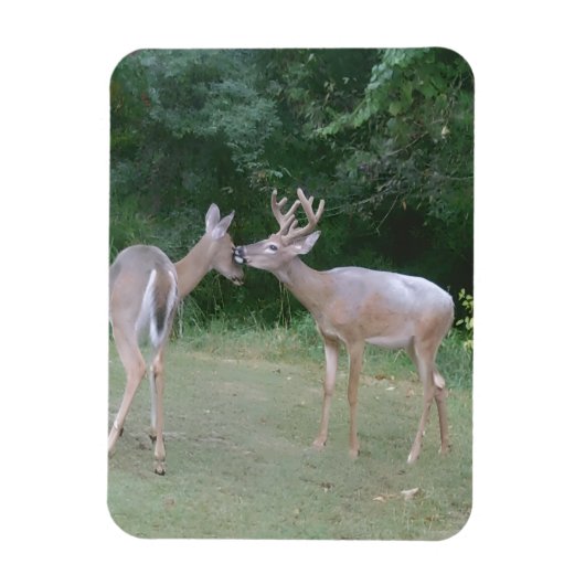 Nature Lover マグネット (縦)