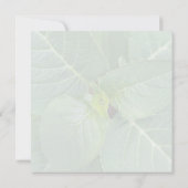 Nature méditer feuilles fleurs rose blanc vert  サンキューカード (裏面)