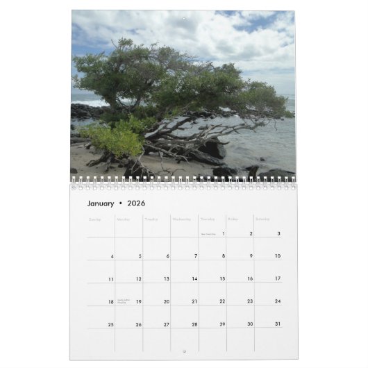 nature of the Galapagos カレンダー (1月 2026)