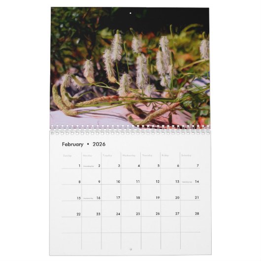 Nature Photo Paintings By Susan カレンダー (2月 2026)