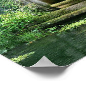 Nature Reclaiming - Overgrown Roman Fountain ポスター (角)