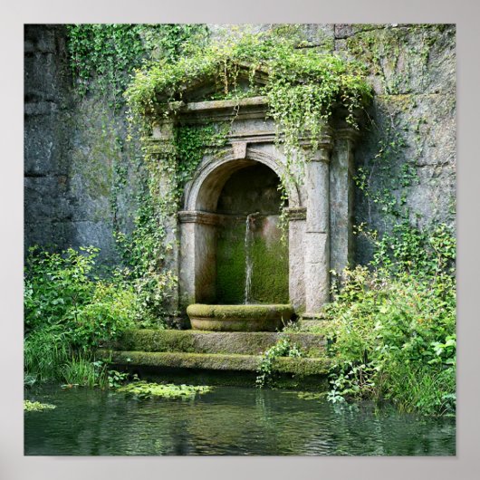 Nature Reclaiming - Overgrown Roman Fountain ポスター (正面)