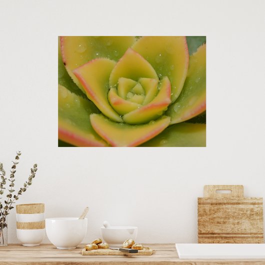 Nature’s Geometry Emerald Succulent Wall Print ポスター (キッチン)