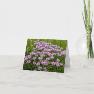 Nature’s Touch – Blank Greeting & Thank You Card カード
