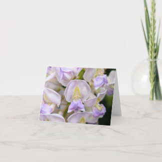 Nature’s Touch – Blank Greeting & Thank You Card カード