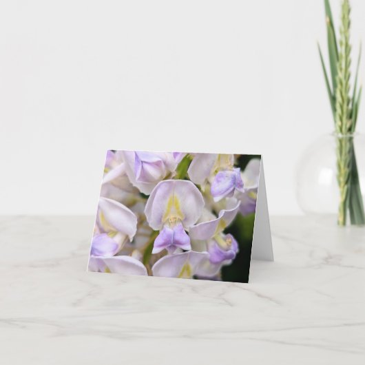 Nature’s Touch – Blank Greeting & Thank You Card カード (正面)