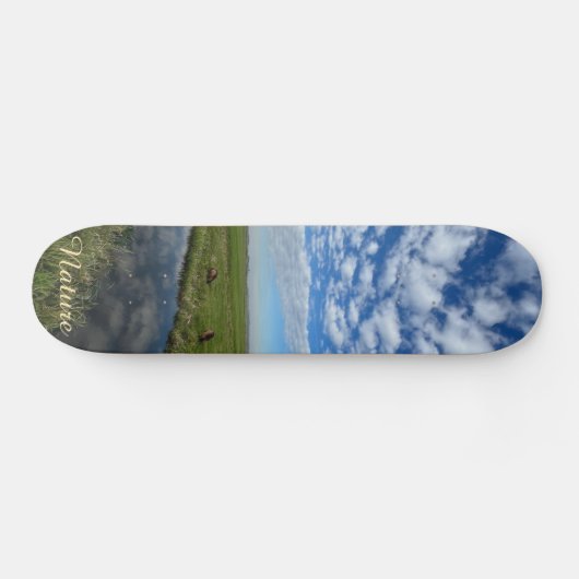 Nature sky スケートボード (横)
