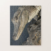 Nature Theme Live Alligators Puzzles For Adults ジグソーパズル (縦)