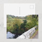 nature way of impersonating animalHoliday Postcard シーズンポストカード (正面/裏面)